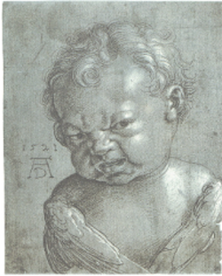 Adulto Pequeño